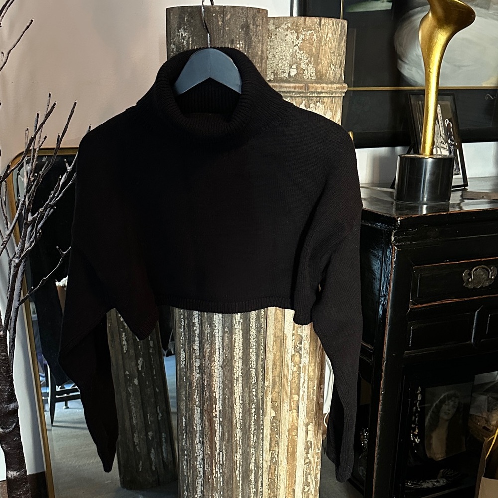 Olivaceous Black Turtleneck Sweater - Cropped